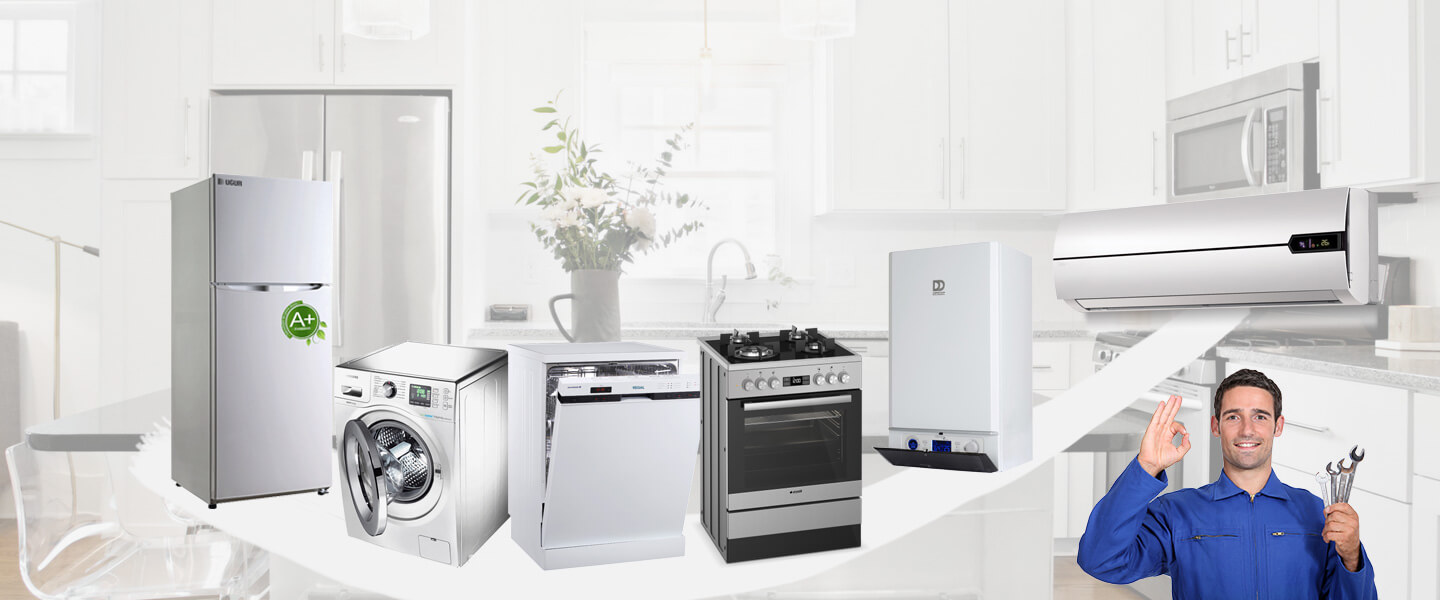 Harmandalı Philips Servisi
